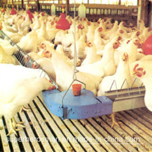 Equipo automático de granja de pollos para la casa de criadores